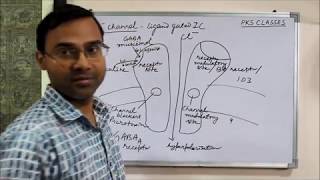 Chloride Channel drugs pharmacodynamics pharmacology [upl. by Valiant98]