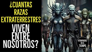 ¿Cuantas razas Extraterrestres viven entre nosotros Especial de 1 hora [upl. by Routh44]