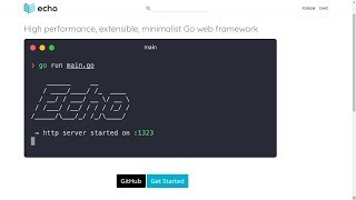 GOLANG API CRUD SIMPLES COM ECHO FRAMEWORK [upl. by Garfinkel]
