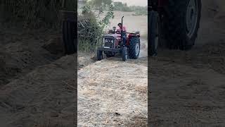 Massey 241 trending power masseyferguson rajasthan Massey 241 massey241di [upl. by Staley603]