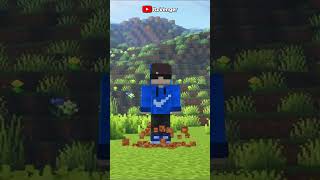 Minecraft Rituals Are Actually real shorts [upl. by Tham]