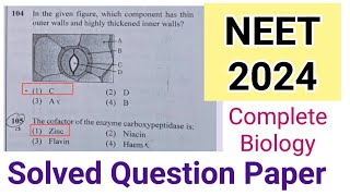 NEET 2024 Answer key  Complete Solved Question Paper  Biology [upl. by Anolla]