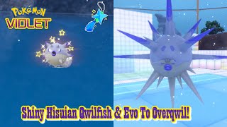 ✨Pokémon Violet SHINY BEAST BALL HISUIAN QWILFISH  EVOLUTION TO OVERQWIL✨ [upl. by Frankhouse804]