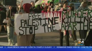 Wynwood Rally In Support Of Palestinian People [upl. by Lanuk556]