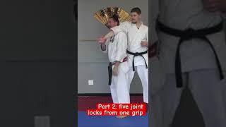 Part 2 Five Joint Locks from One Grip karate jointlock bunkai shorinryu [upl. by Khajeh]