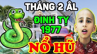 Tử Vi Tuổi Đinh Tỵ 1977 Tháng 2 Âm Trời Ban Lộc Lớn Trúng Lớn Bỗng Đổi Đời Cực Giàu Sang  LPTV [upl. by Dahsraf]