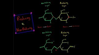 Reducing Sugar vs Nonreducing Sugar Acetal Hemiacetal Carbohydrate Biochemistry MCAT [upl. by Colleen447]