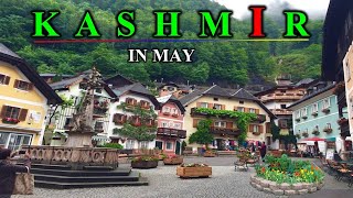 Kashmir Tour Complete Guide  All Information About Kashmir Trip  Kashmir trip in may month [upl. by Einatirb]