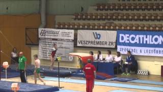 Viktoria Komova VT  Hungarian Meet 2014 [upl. by Airbma434]