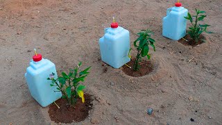 Como hacer sistema de riego por goteo casero con botellas de plastico barato facil y rapido [upl. by Cleodal879]