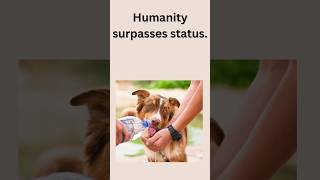 Humanity  status  youtube [upl. by Millburn48]