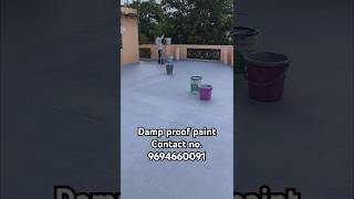 Damp proof painting work 👍👍👍👍👍👍👍👍👍👍 [upl. by Nelehyram31]