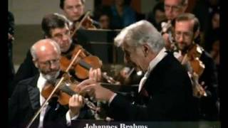 Johannes Brahms Serenata in La maggiore op16 [upl. by Dilahk]