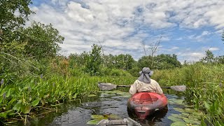 Beaver Byways Upon The Harbor [upl. by Ailliw]