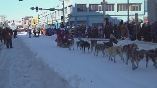 33 Iditarod sled dog race mushers to trek across Alaska  Top 10 [upl. by Inasah]