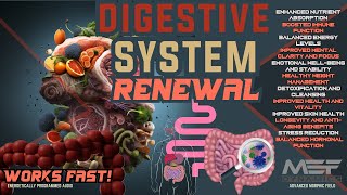 Digestive System Renewal Amazing Results Advanced Morphic Field [upl. by Anivad]