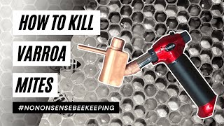 How to Kill Varroa Mites  Gas Vap Review  Sublimate Oxalic Acid to Kill Varroa Mites [upl. by Ginsburg]