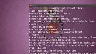 ELIMINAR ARCHIVOS DUPLICADOS CON FSLINT UBUNTU [upl. by Hollinger]