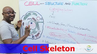 Cytoskeleton [upl. by Nylannej]