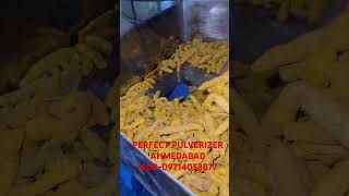 PERFECT PULVERIZER HALDI GRINDING MOB9714058877 [upl. by Beatrix]