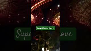 Supertree Grove laagnirachel sg [upl. by Singer]