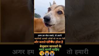 Dog and bike accident😓😱 shorts dog doglover animals [upl. by Ledba126]