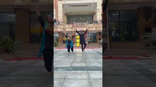 phulkari dance choreography bhangra dance punjabi bhangra college collegedance [upl. by Maggie962]