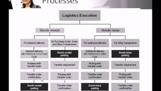 SAP Logistics Execution amp Warehouse Management [upl. by Meda]