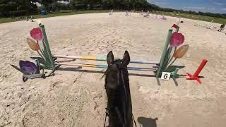 GoPro Rex Starter  2024 Majestic Oaks April Schooling Show [upl. by Wavell]