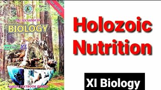 Holozoic Nutrition XI Biology [upl. by Aderfla960]