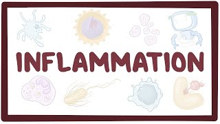 Inflammation  causes symptoms diagnosis treatment pathology [upl. by Dix]