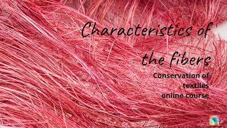 Discover the Characteristics of Textile Fibers that influence their conservation [upl. by Sapphira]