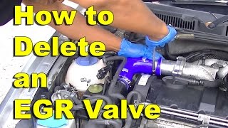 How to Delete an EGR Valve with a delete kit [upl. by Twila]