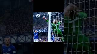 Amazing goalkeeper saves 😨football goalkeeper save moments rares tred foryoupage [upl. by Abbott]