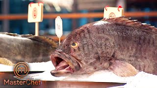 ¿Podrías identificar todos los tipos de pescado  MasterChef México [upl. by Bobina]