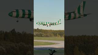 Green Striped sock landing in Budapest foryou budapestairport planespotting airport shorts [upl. by Karp987]