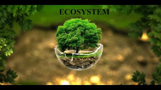 ECOSYSTEM  ENVIRONMENTAL SCIENCE  ALL TOPICS IS BEEN COVERED [upl. by Pardew]