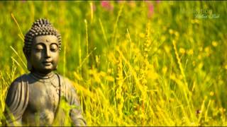 Zen Entspannungsmusik Wellness amp Regeneration Yoga Musik Tiefenentspannung amp Meditation [upl. by Aileno769]