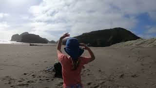 Exploring the stunning beauty of Bethells Beach part 14🌊✨ BethellsBeach NZAdventures BeachVibes [upl. by Perceval740]