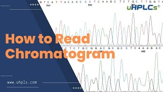 How to Analyse HPLC Data  Maybe You Can Study from this Video [upl. by Rocher353]