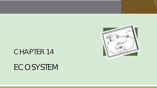 Ecosystem  Lecture No  4  SUNSID  Sahil Siddiqui [upl. by Enelrac]