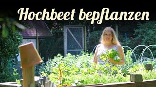 Hochbeete bepflanzen 🎍 Agretti im Garten 🎍 Salat anbauen 🎍 Permakultur [upl. by Atisor]