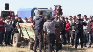 CONCURS DE CAI LA MARGHENI 2017 [upl. by Pubilis]