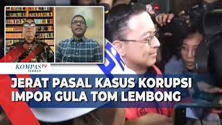 FULL Bincang Komisi III DPR amp Pakar Hukum di Balik Jerat Pasal Kasus Korupsi Gula Tom Lembong [upl. by Doralyn]