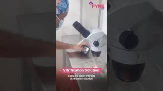 Oocyte Vitrification Egg Freezing Process  Fyne IVF [upl. by Gert]