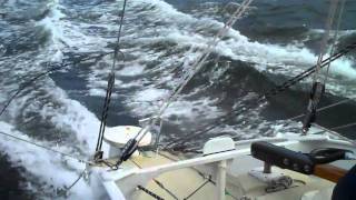 Walter Greene Custom 35 Trimaran Friends mp4 [upl. by Waynant]