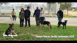 Paseos Felices Mr Hueso Sevilla noviembre 2024 [upl. by Gnet]