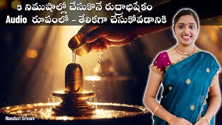 రుద్రాభిషేకం Chanting Audio మీ కోసం  Simple Rudra abhishekam Audio file  Nanduri Srivani [upl. by Oly]