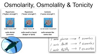 Chemistry Basics Osmolarity Osmolality and Tonicity [upl. by Mathis826]