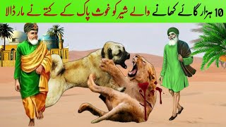 Gaye Khane wale Sher ko Kutte ne Mar Diya  Ghous pak ka waqia  Allah wale  inspirational story [upl. by Morrell76]